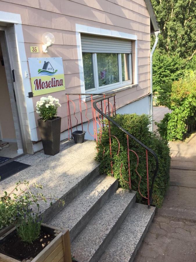 Moselina Gaestezimmer Sankt Aldegund Extérieur photo
